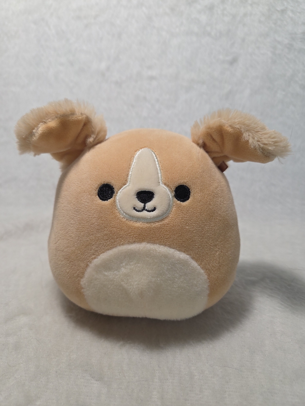STEVON the Dog Squishmallows 5" Golden Puppy Floppy Ears Stuffed Toy NO HANGTAG